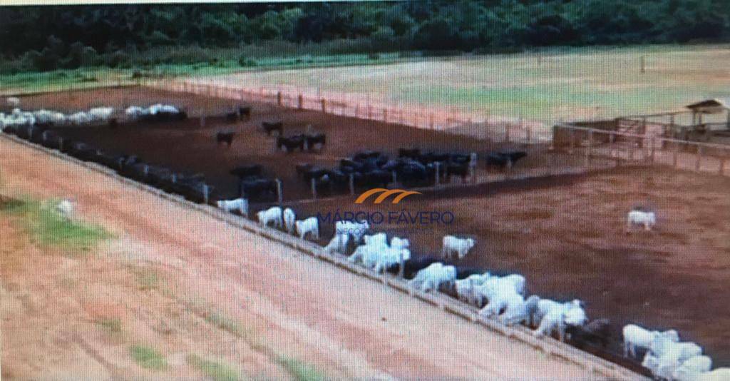 Fazenda à venda, 102800000M2 - Foto 4