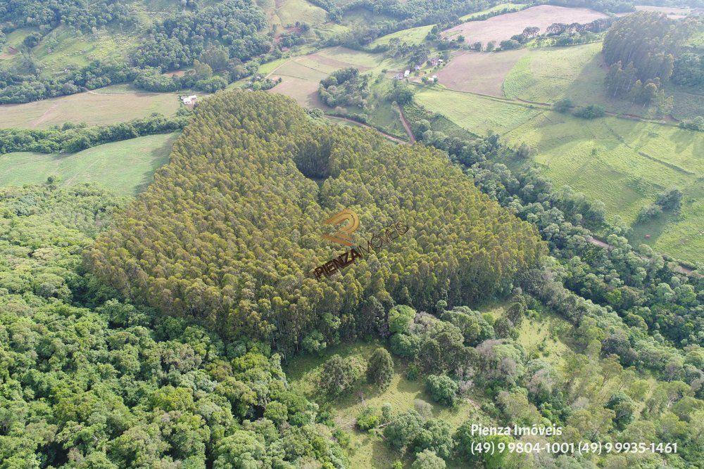 Terreno à venda, 57000m² - Foto 10