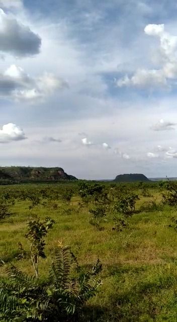 Fazenda à venda com 1 quarto, 17800000M2 - Foto 26