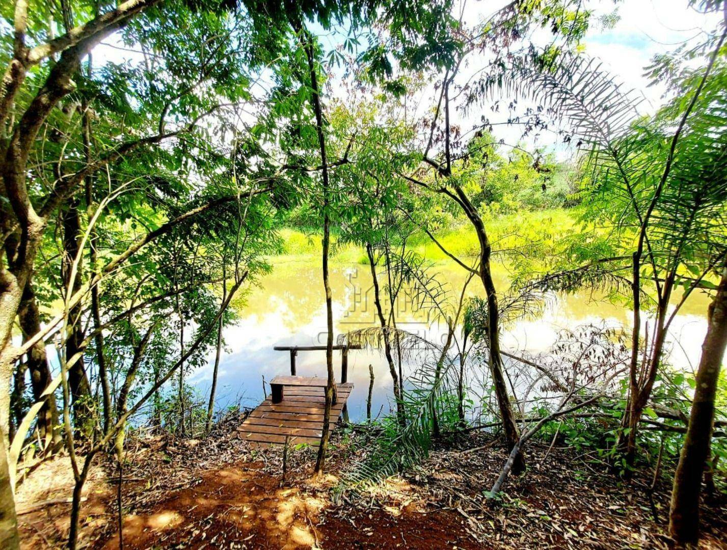 Chácara à venda com 4 quartos, 1000M2 - Foto 10