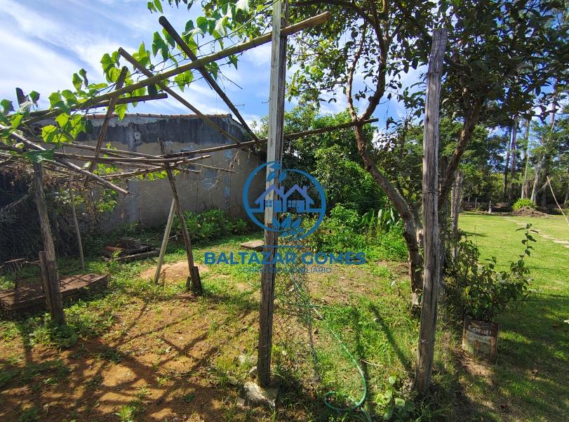 Fazenda à venda com 2 quartos, 2000m² - Foto 13