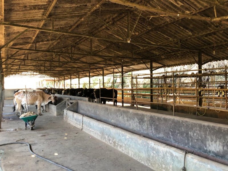 Fazenda à venda, 120m² - Foto 41