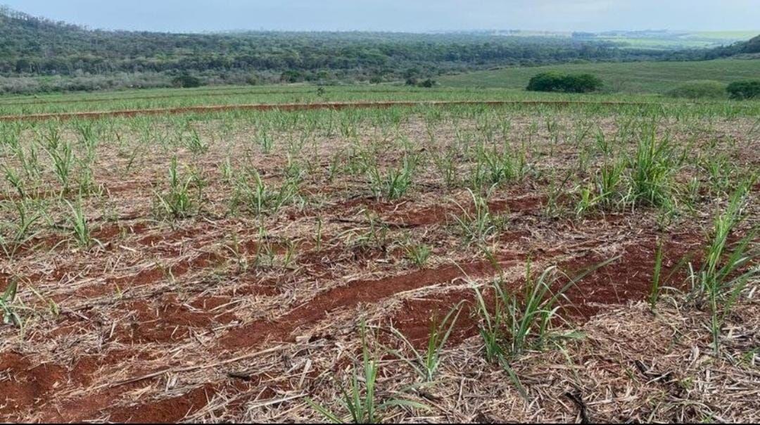 Loteamento e Condomínio à venda, 1621400m² - Foto 4