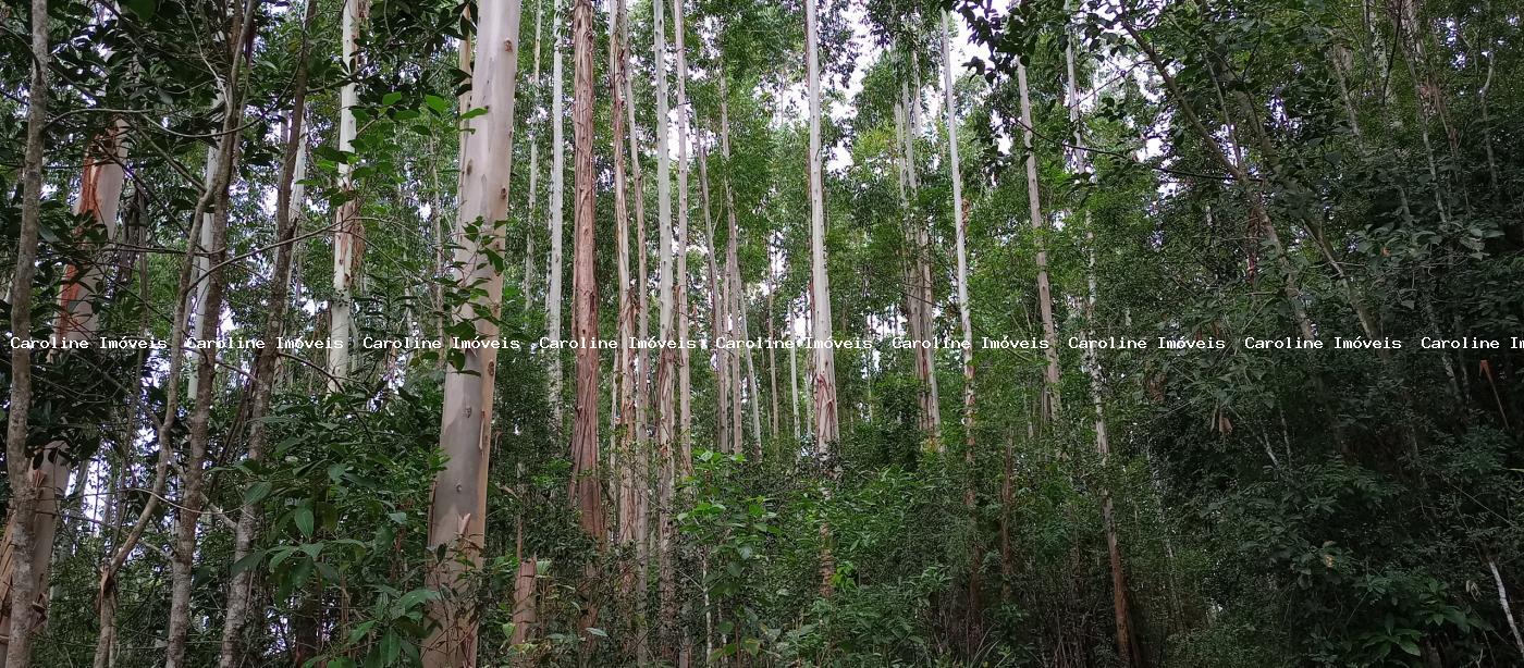 Fazenda à venda com 4 quartos, 418000m² - Foto 37