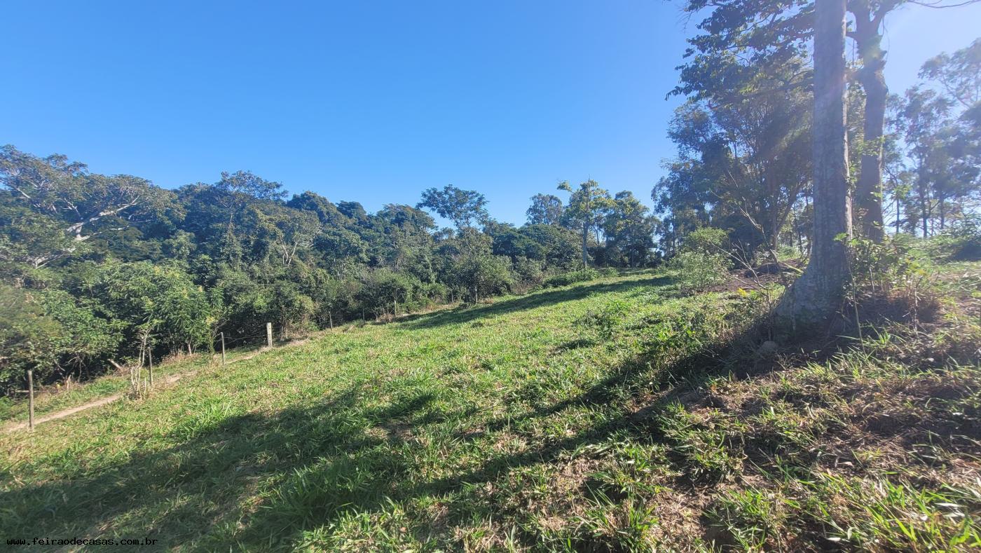 Terreno à venda, 39000m² - Foto 2