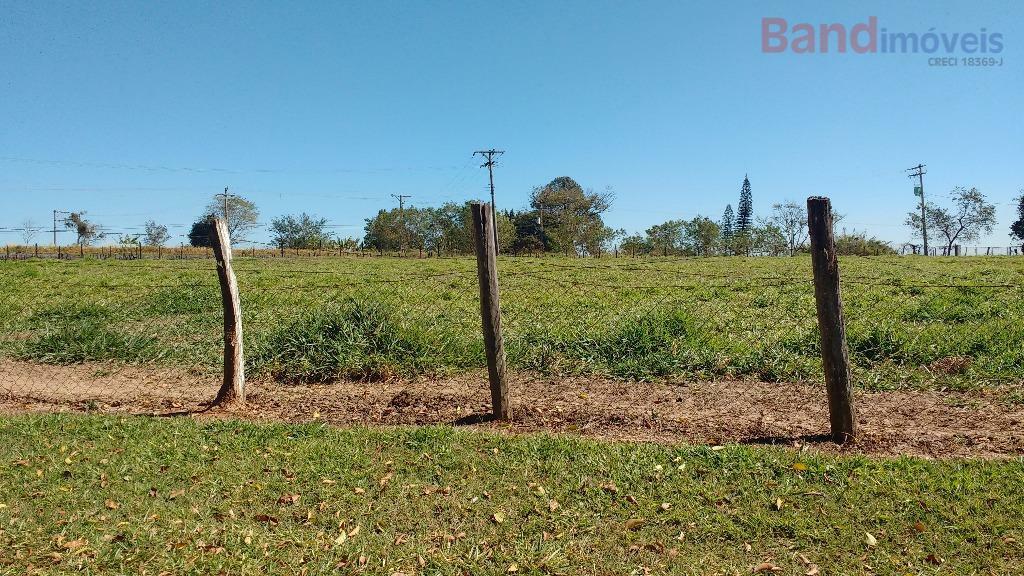 Terreno à venda, 219000M2 - Foto 4