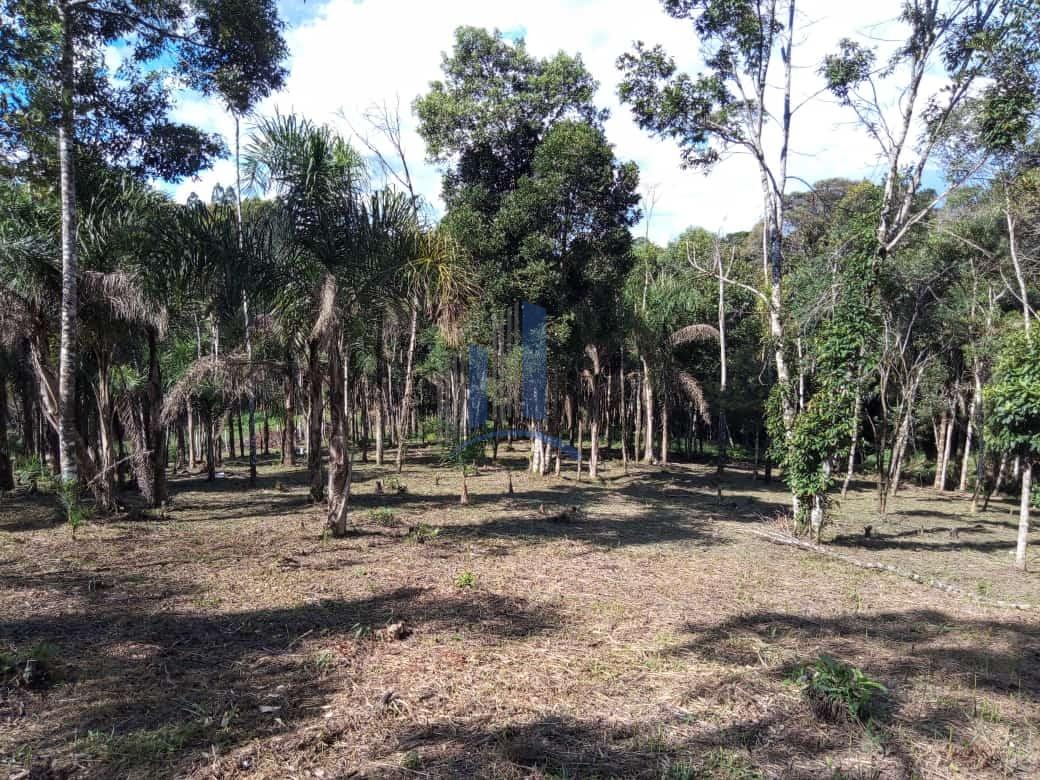 Chácara à venda, 5000m² - Foto 5