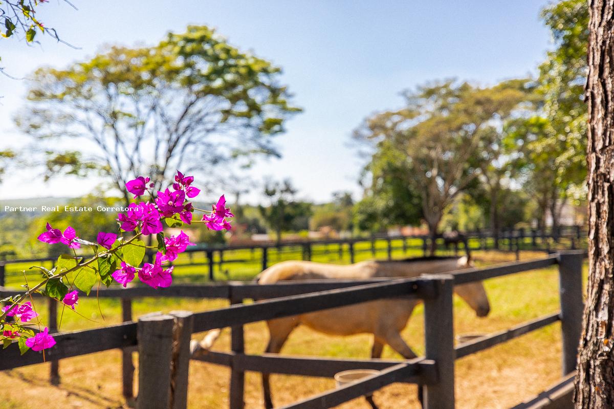 Fazenda à venda com 3 quartos, 133100m² - Foto 5