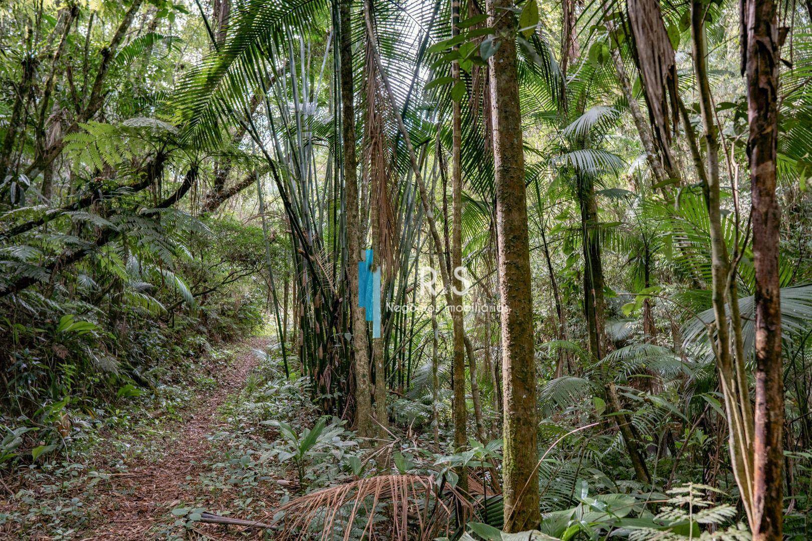 Sítio à venda com 6 quartos, 847000M2 - Foto 26