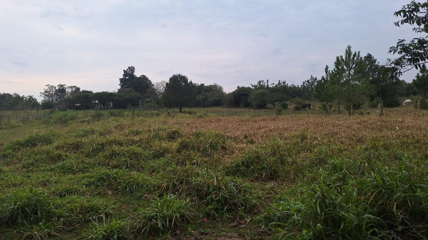 Chácara à venda com 2 quartos, 6790m² - Foto 9