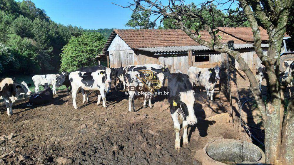 Terreno à venda, 160000M2 - Foto 18