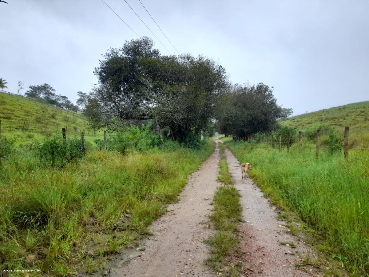 Fazenda à venda com 2 quartos, 61000m² - Foto 9