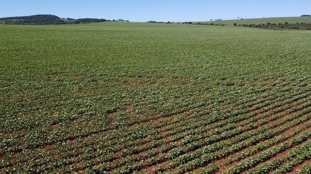 Fazenda à venda com 2 quartos, 1210000m² - Foto 7