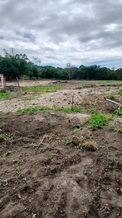 Fazenda à venda com 2 quartos, 31000m² - Foto 16