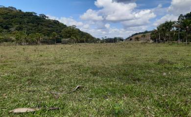 Sítio à venda com 5 quartos, 150000m² - Foto 23