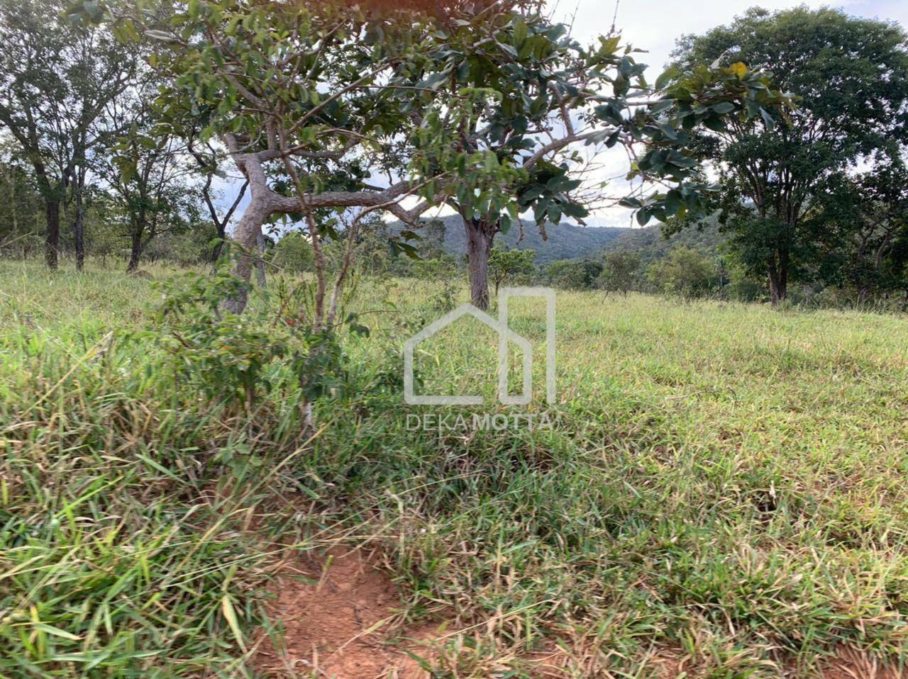 Fazenda à venda com 3 quartos, 21217700000M2 - Foto 23