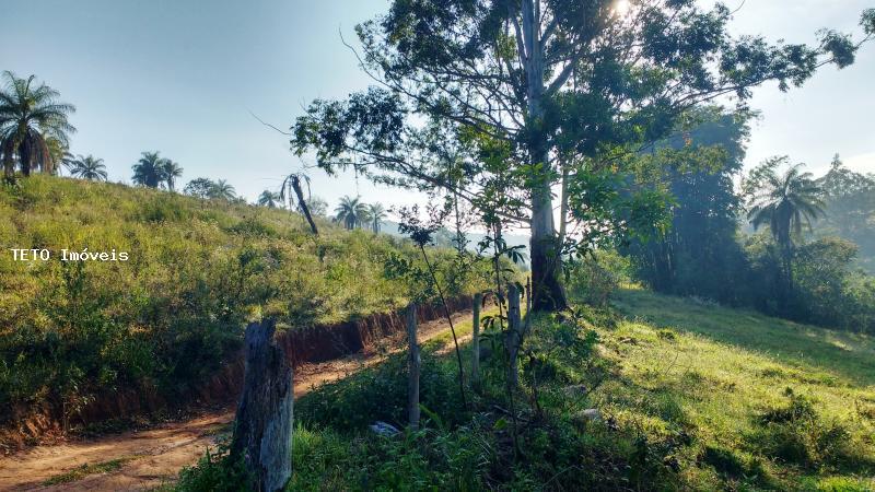 Fazenda à venda, 30m² - Foto 2