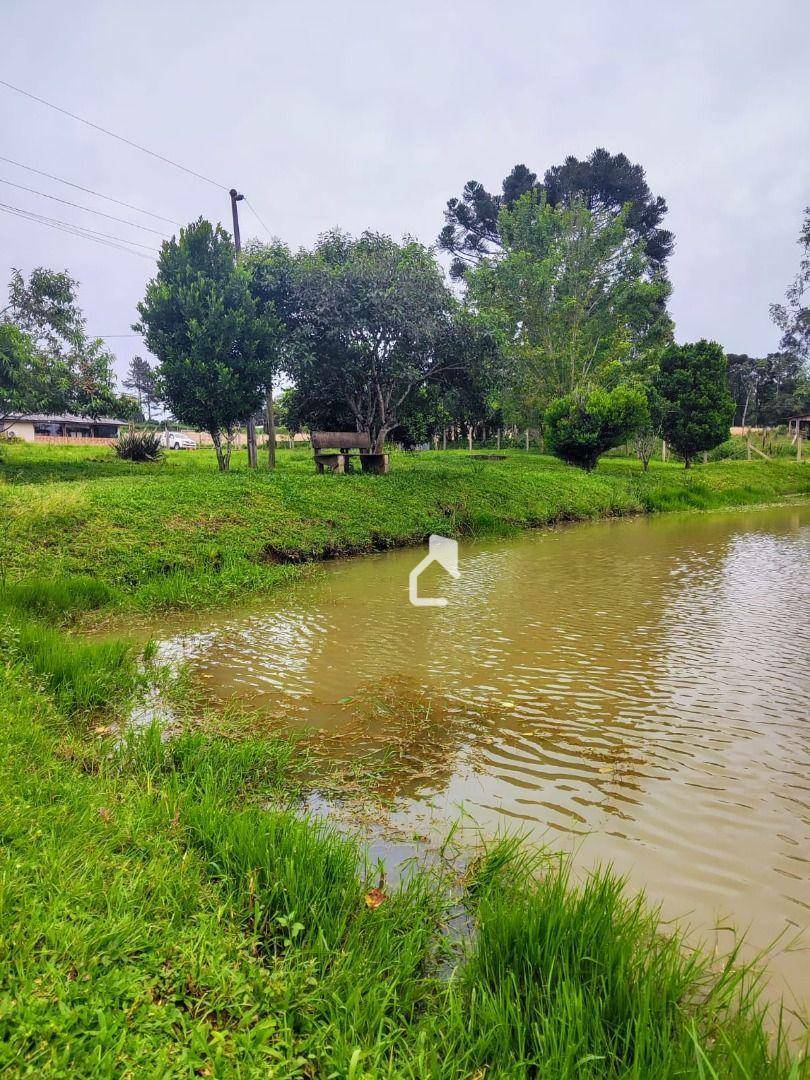 Chácara à venda com 3 quartos, 100m² - Foto 6