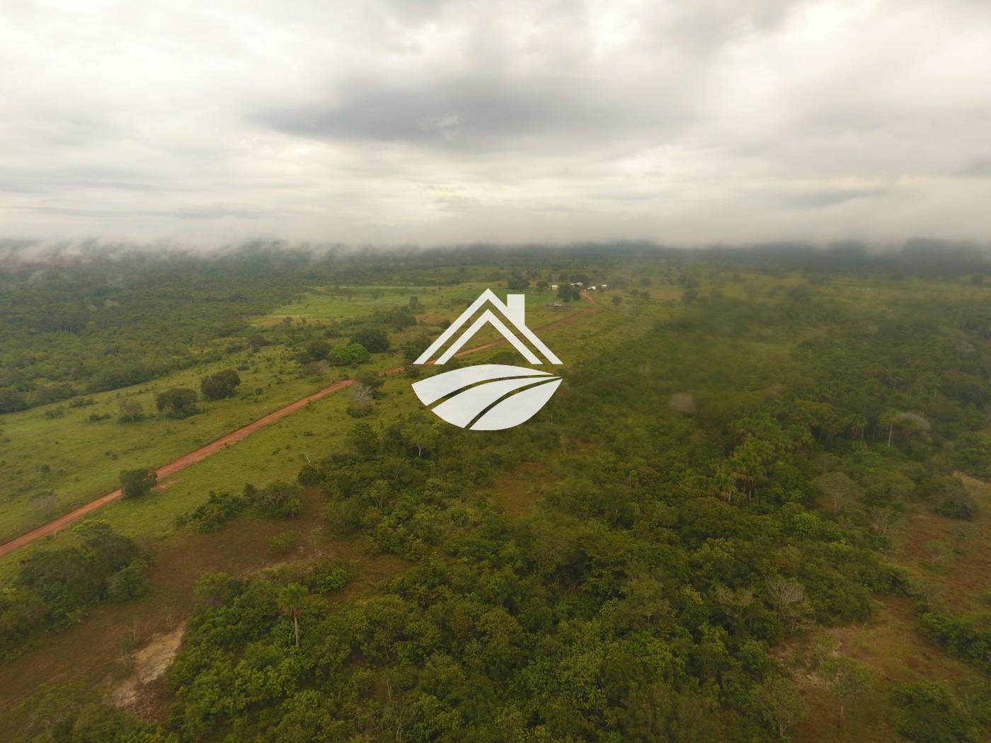 Fazenda à venda, 1m² - Foto 19
