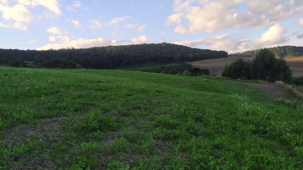 Fazenda à venda, 17m² - Foto 4