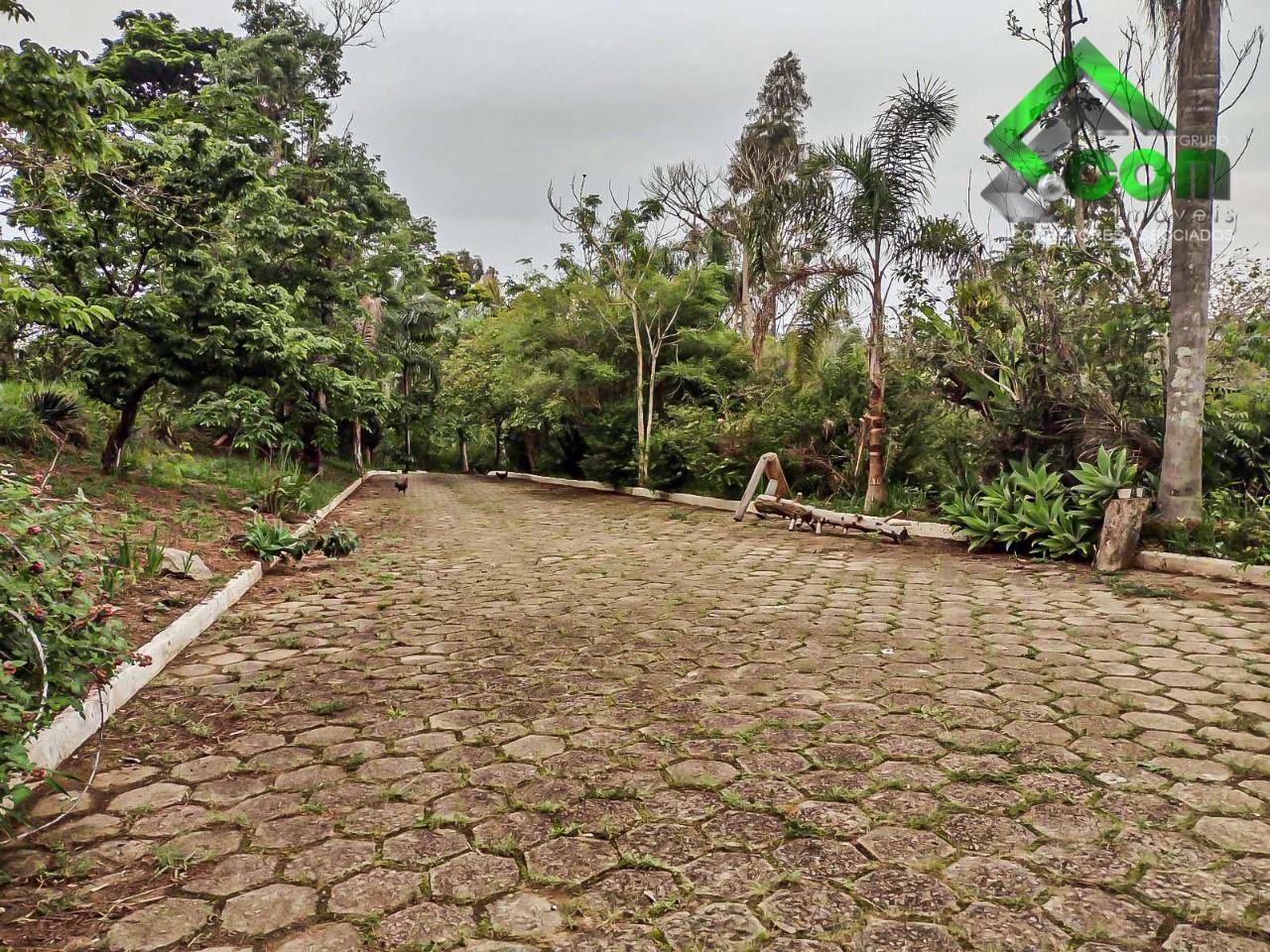 Sítio à venda com 2 quartos, 200m² - Foto 6