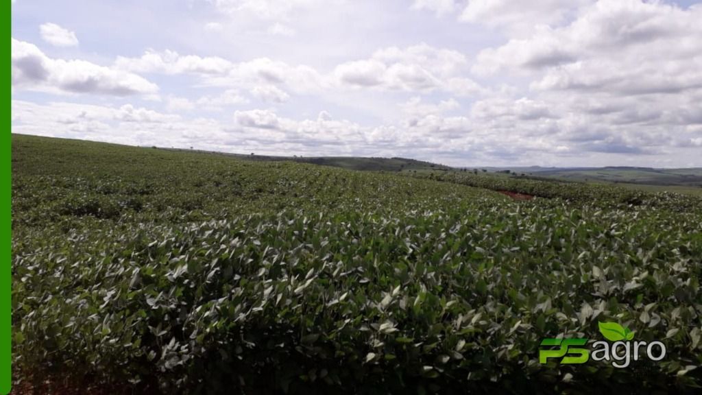 Fazenda à venda, 1376590000M2 - Foto 2