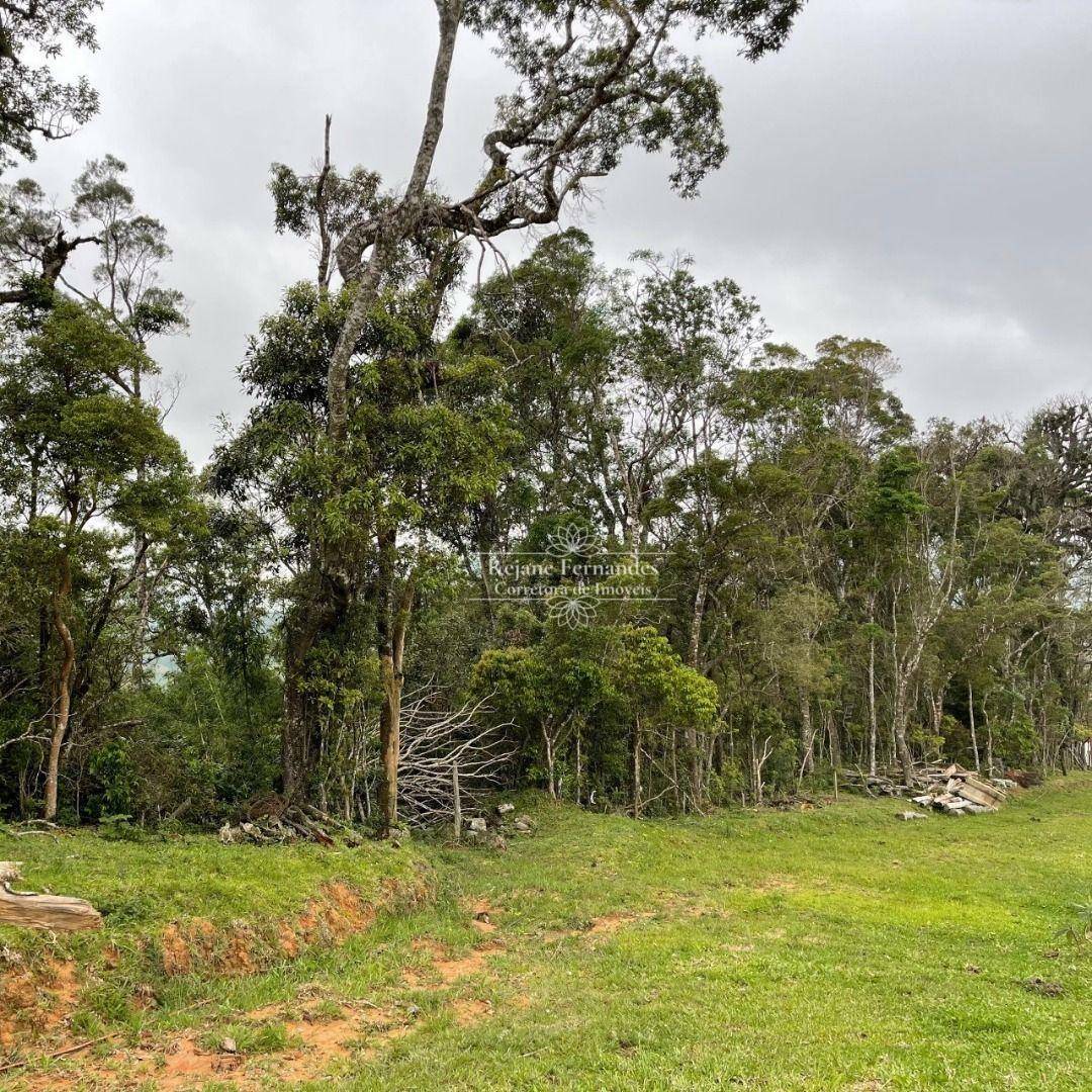 Terreno à venda, 20000M2 - Foto 2