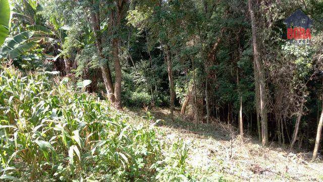 Terreno à venda, 1500M2 - Foto 3