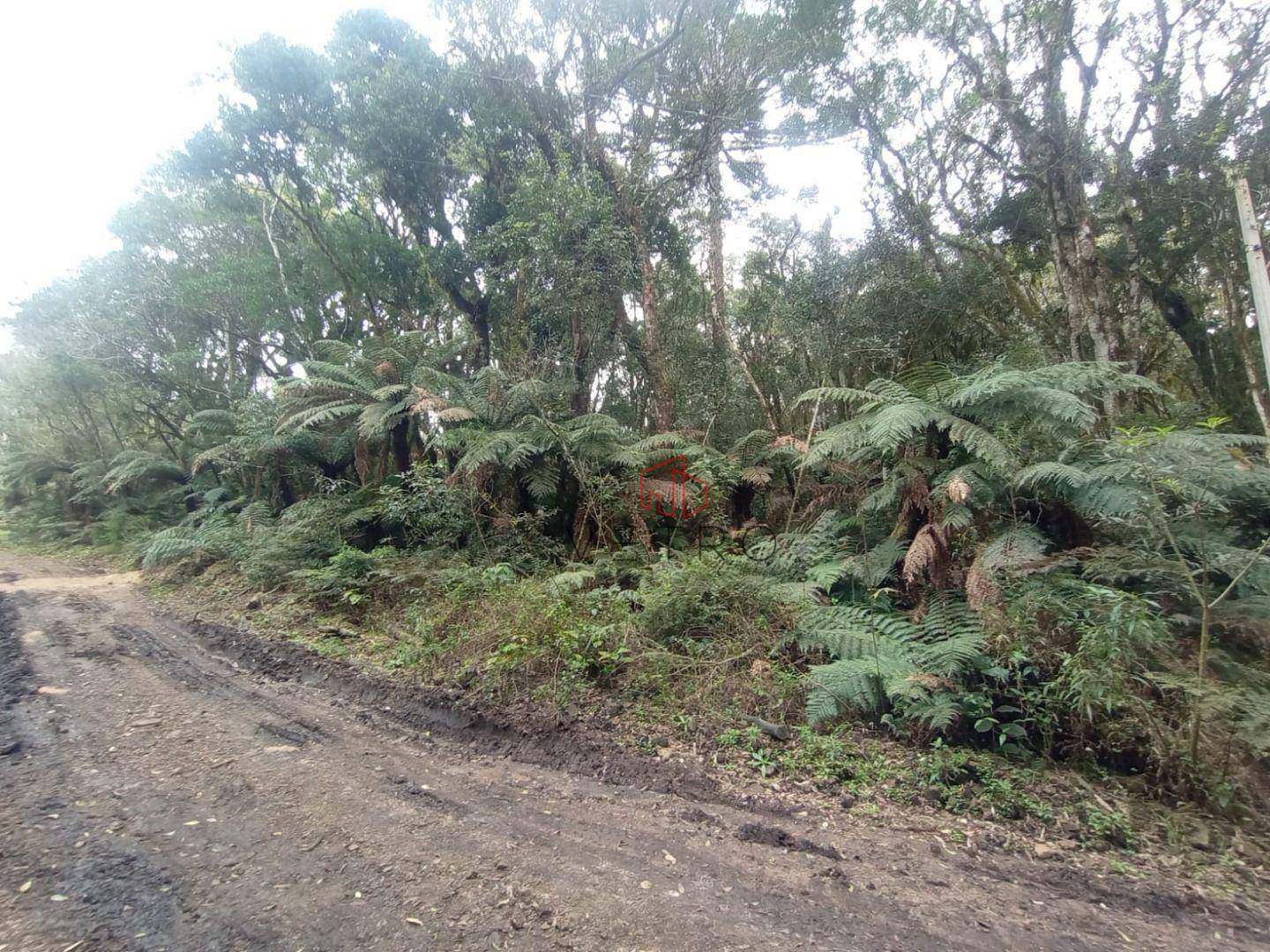 Loteamento e Condomínio à venda, 480M2 - Foto 2