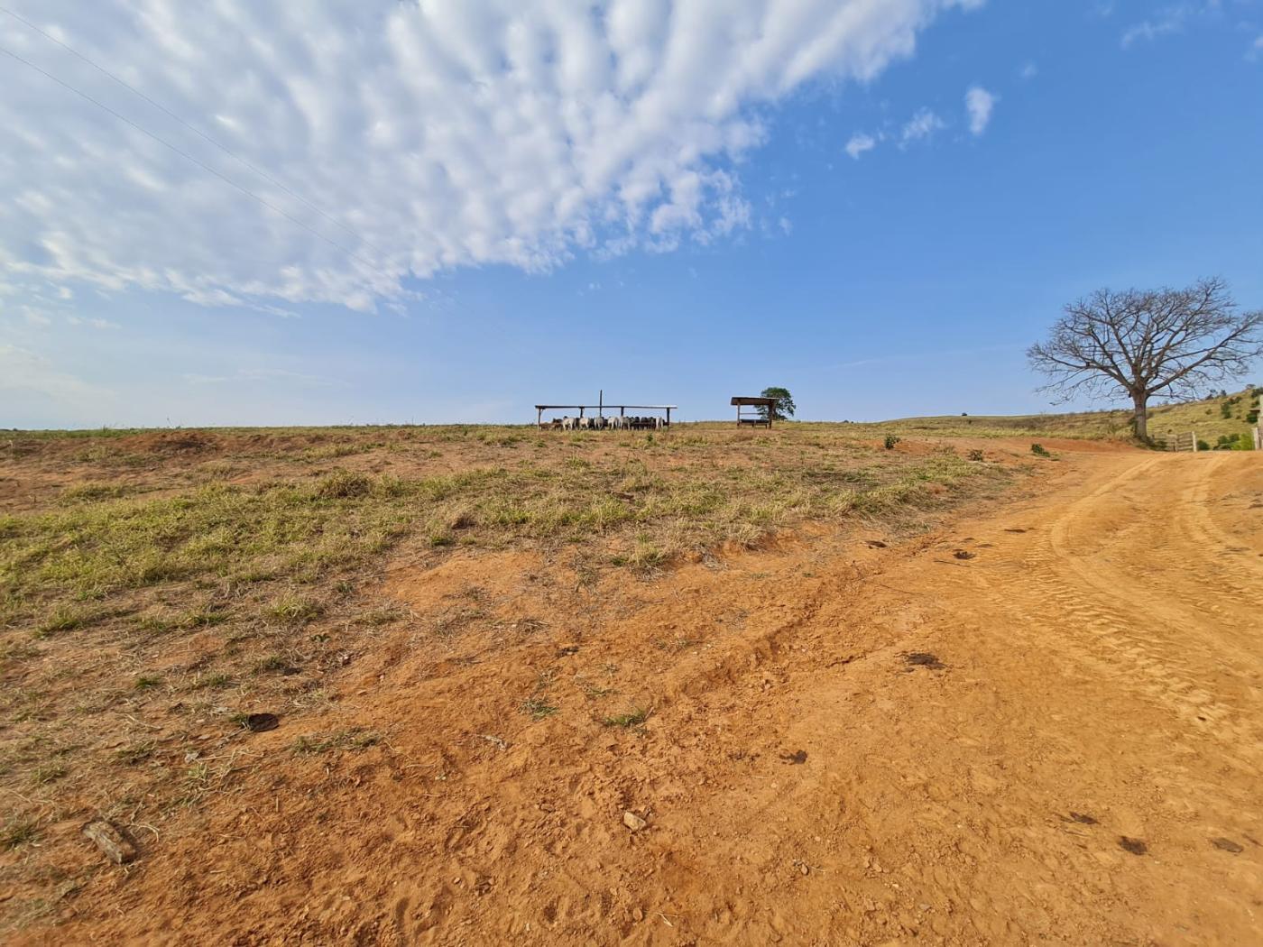 Fazenda à venda, 417m² - Foto 27