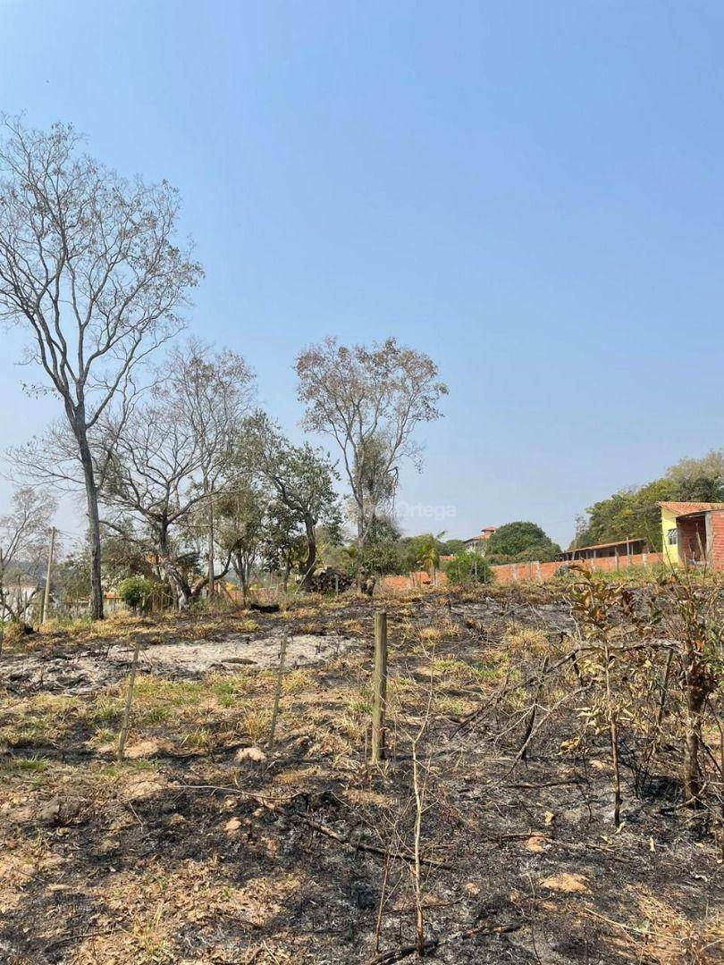 Terreno à venda, 1000M2 - Foto 7