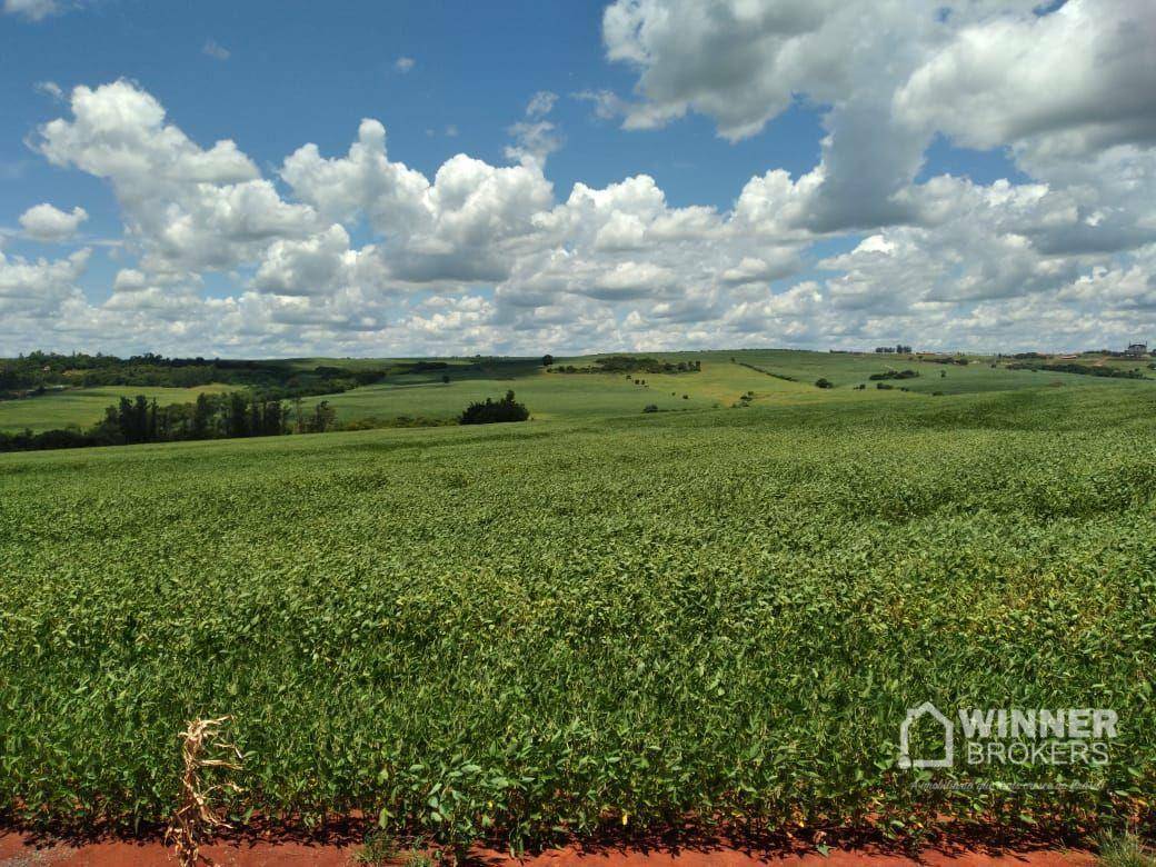 Chácara à venda com 1 quarto, 63400M2 - Foto 2