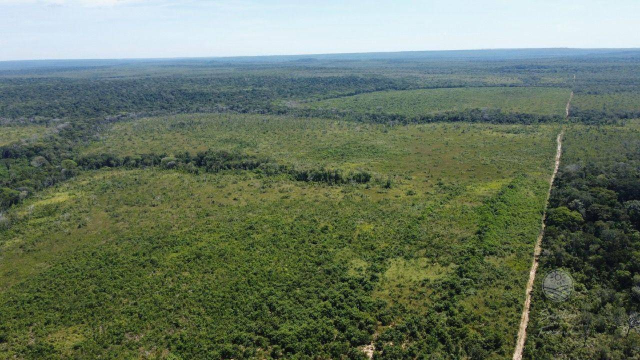 Fazenda à venda, 53620000M2 - Foto 4