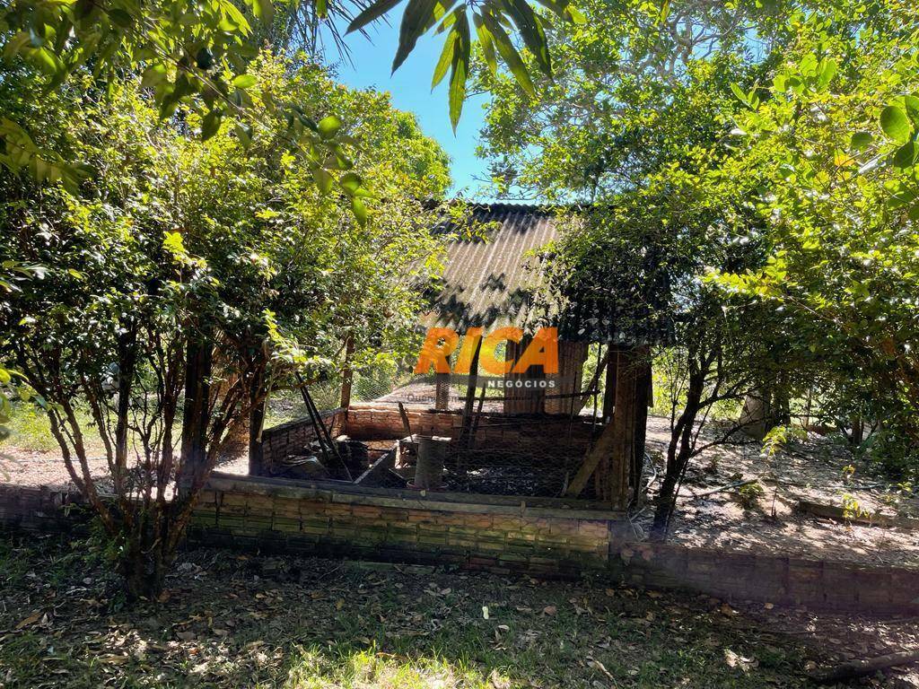 Chácara, 3 quartos, 2 hectares - Foto 11