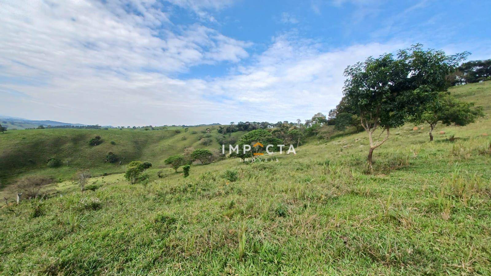 Terreno, 19 hectares - Foto 4