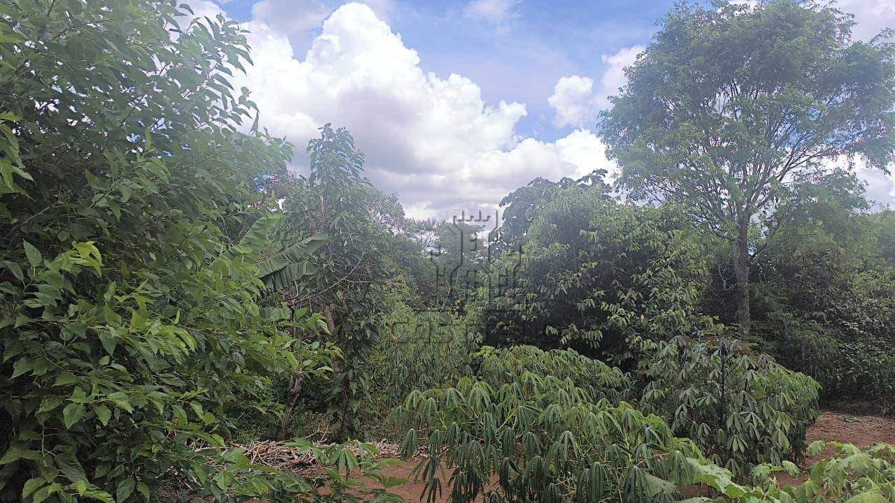 Chácara, 3375 m² - Foto 3