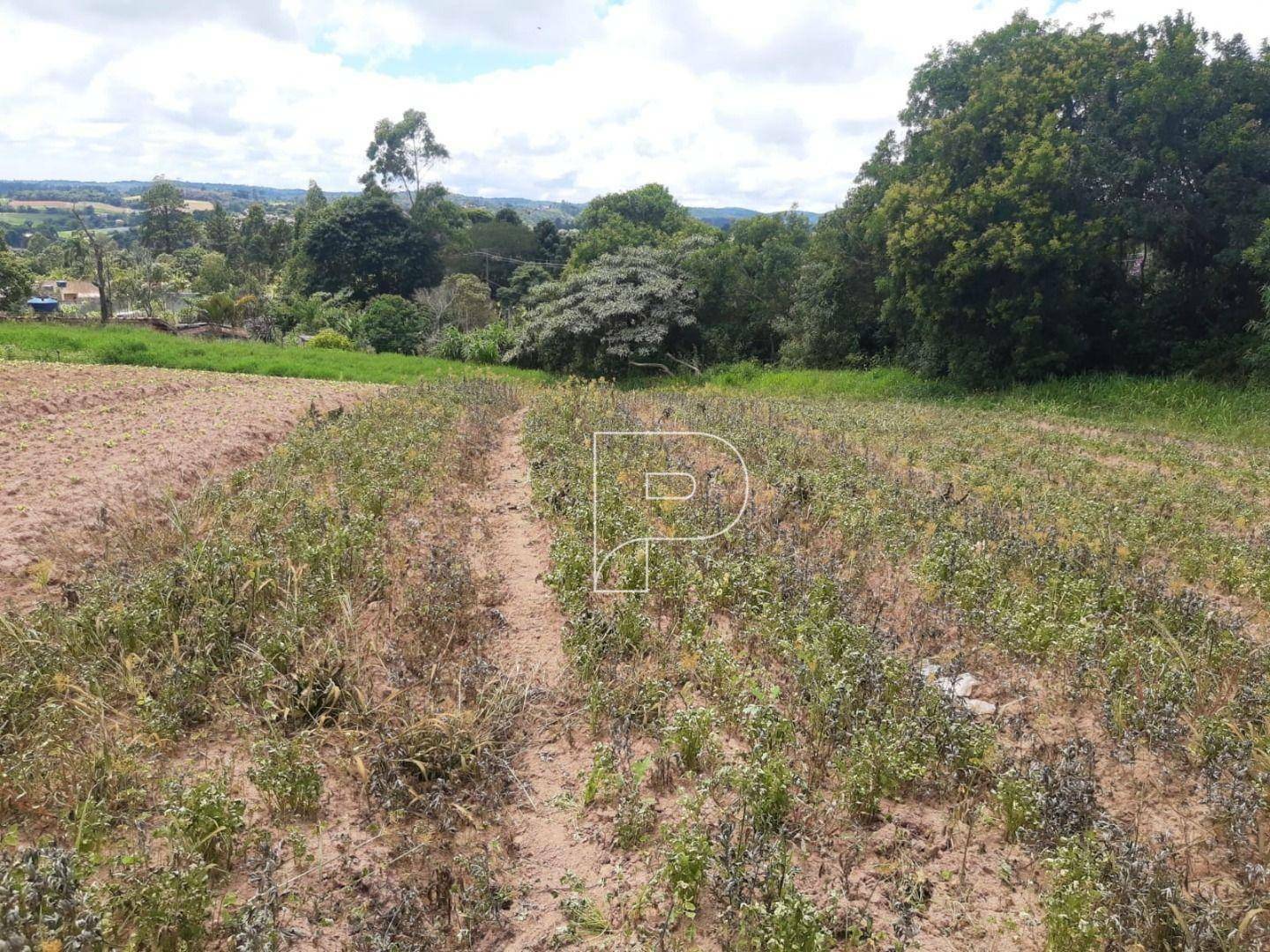 Terreno à venda, 39000M2 - Foto 11