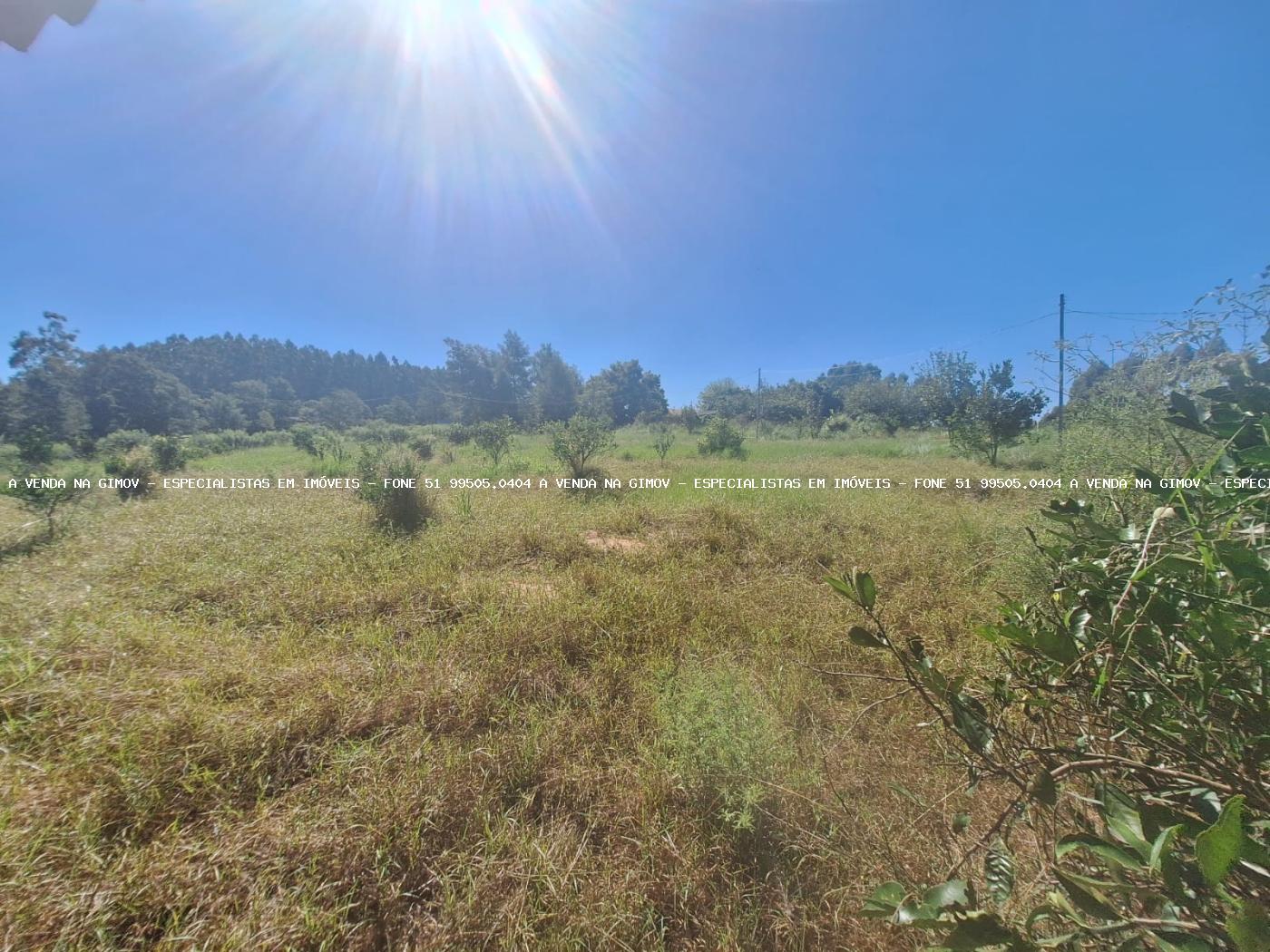 Chácara à venda com 3 quartos, 40000m² - Foto 28
