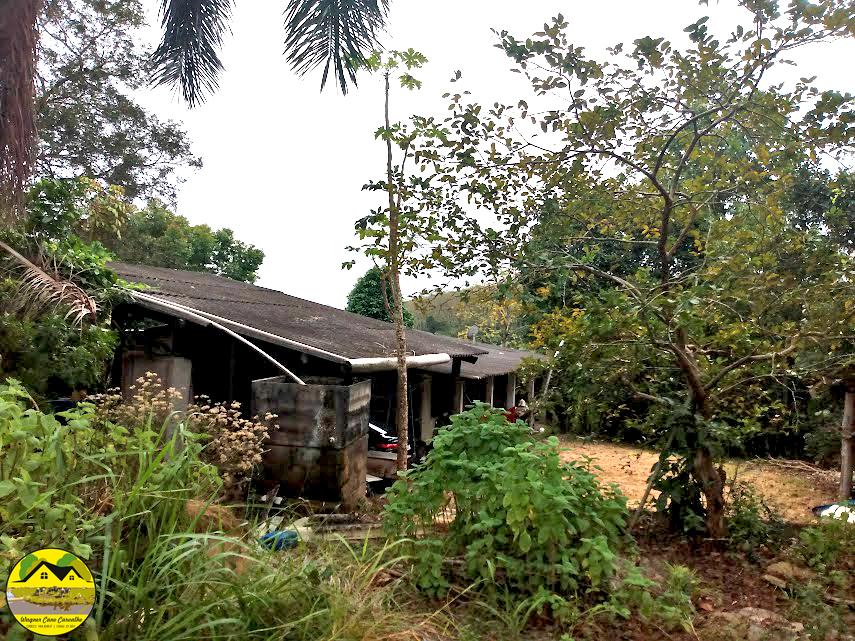 Fazenda à venda com 3 quartos, 30m² - Foto 1