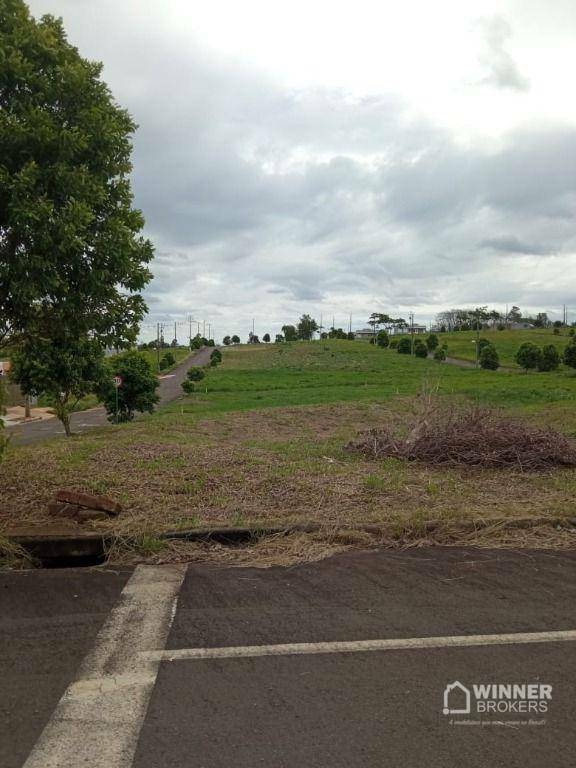 Terreno à venda, 324M2 - Foto 3