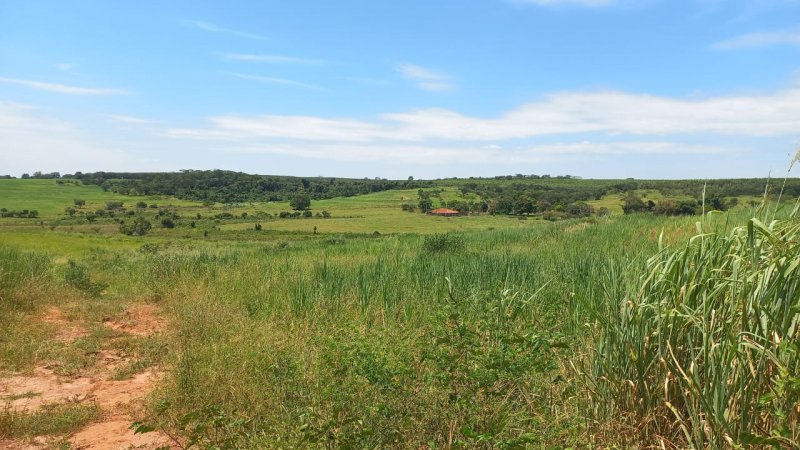 Fazenda à venda, 90m² - Foto 4