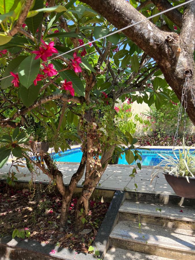 Sítio à venda com 4 quartos, 3880m² - Foto 22