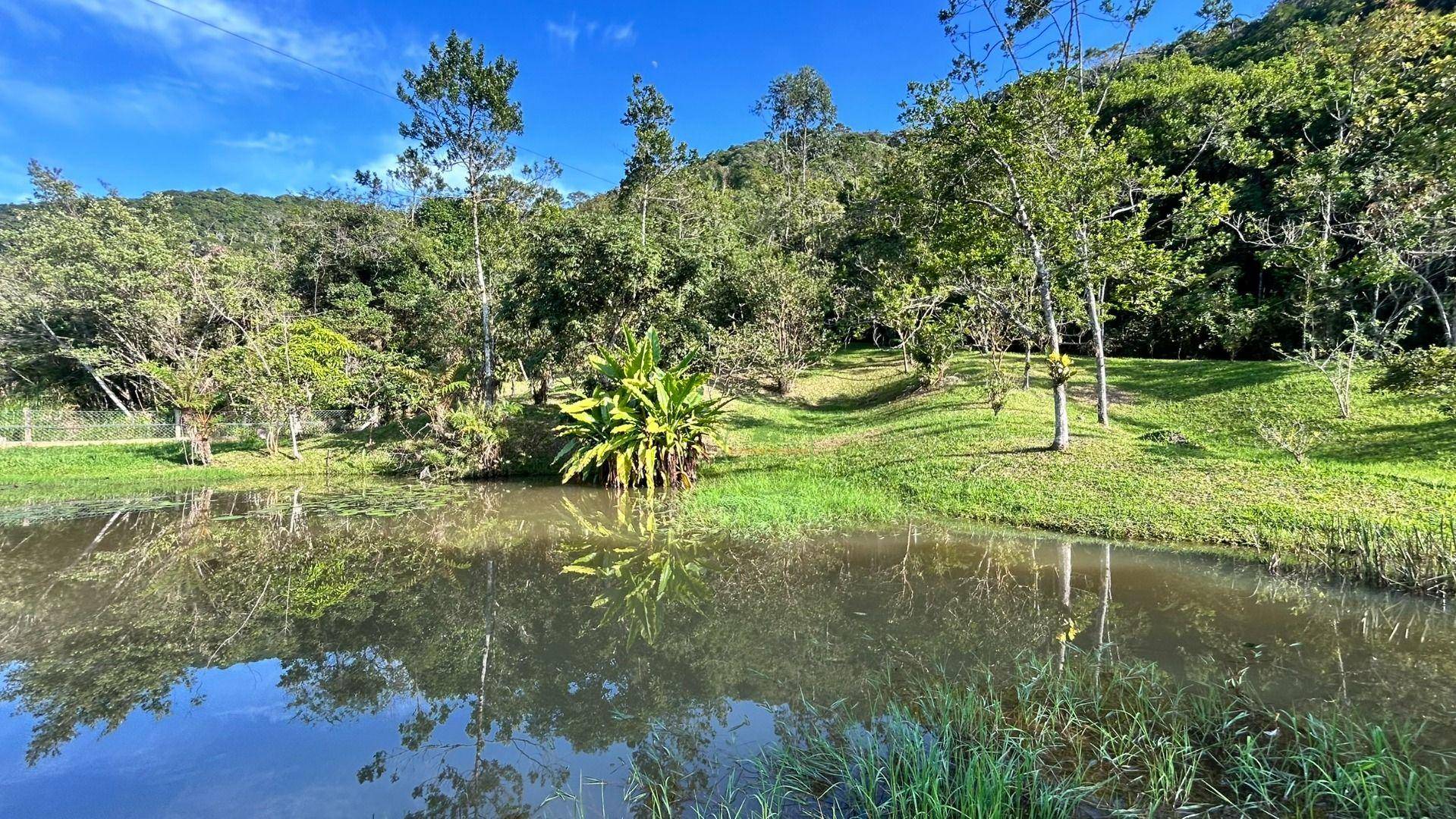 Sítio, 24 m² - Foto 35