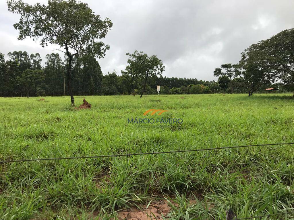 Fazenda à venda, 4250000M2 - Foto 21