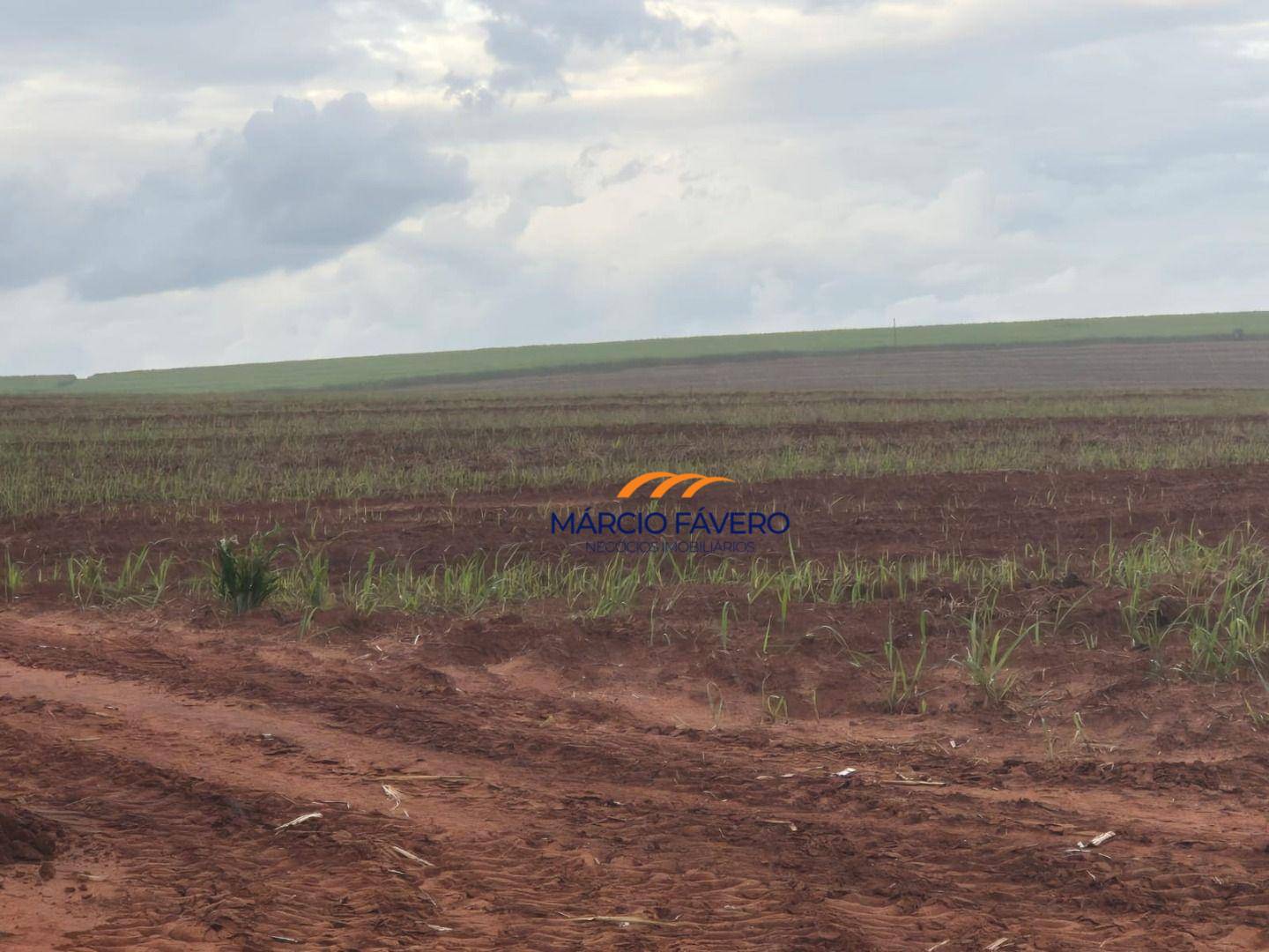 Fazenda, 702 hectares - Foto 4