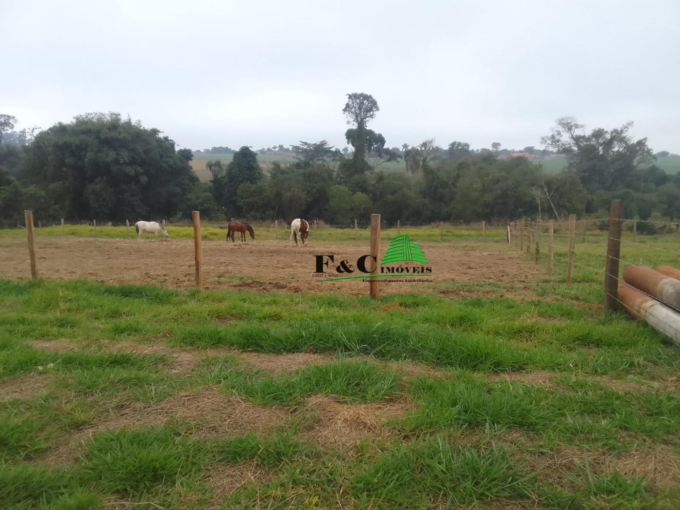 Terreno à venda, 1000m² - Foto 4