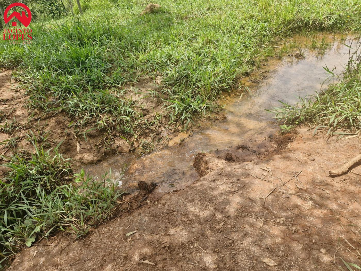 Fazenda à venda com 2 quartos, 120m² - Foto 60