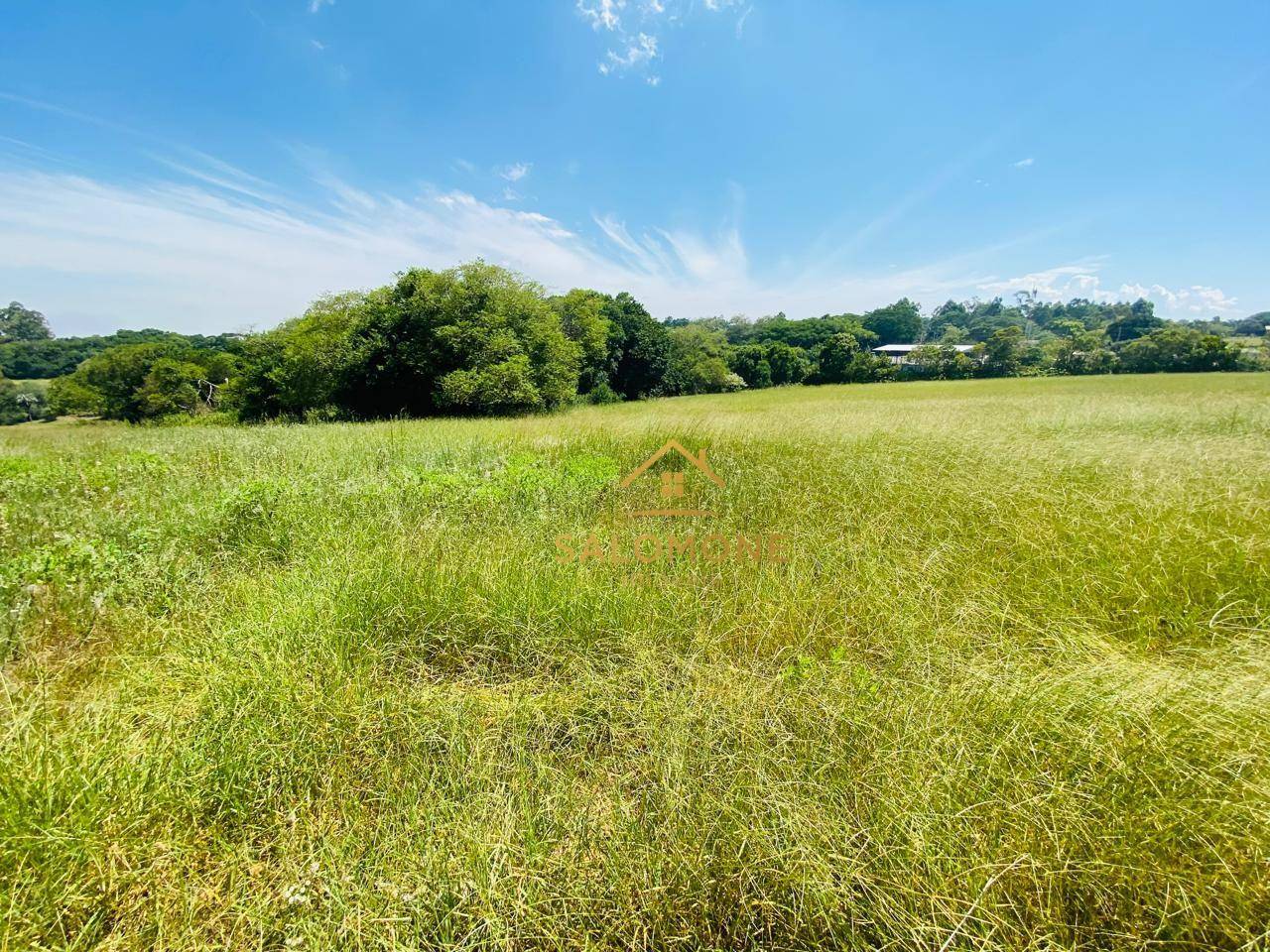 Sítio, 2 quartos, 4 hectares - Foto 5