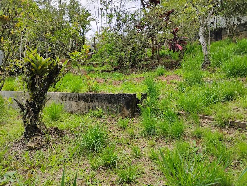 Fazenda à venda com 2 quartos, 2300m² - Foto 20