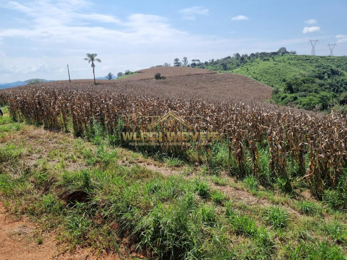 Fazenda à venda, 226m² - Foto 21